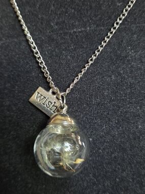 Wish Glass Globe Pendant Necklace in Silver 24" Adjustable